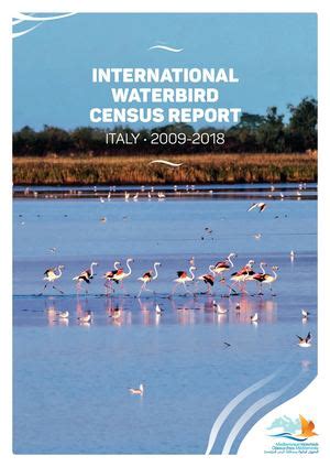 iwc international waterbird census italy cormorant|waterbird population.